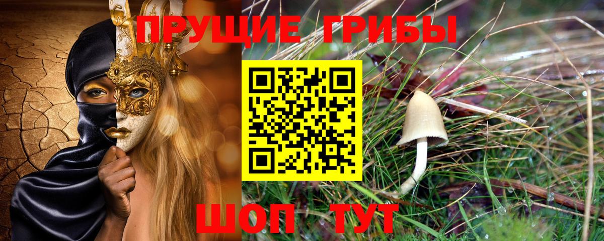 Галлюциногенные грибы мицелий Волгодонск
