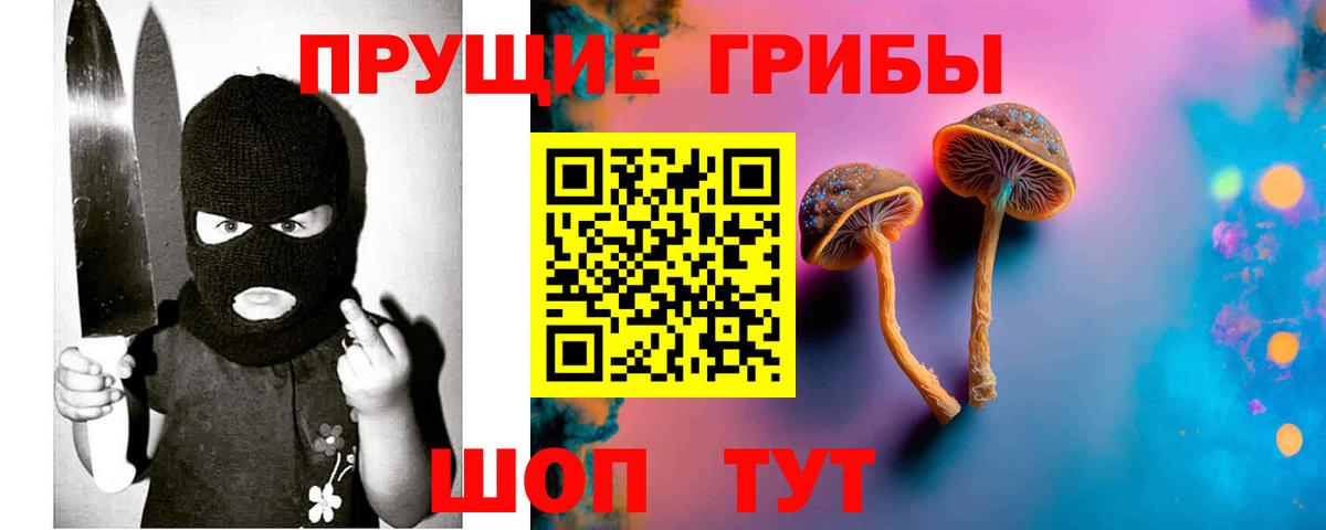 Псилоцибиновые грибы прущие грибы  Вход с VPN  Волгодонск 